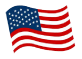 usa flag